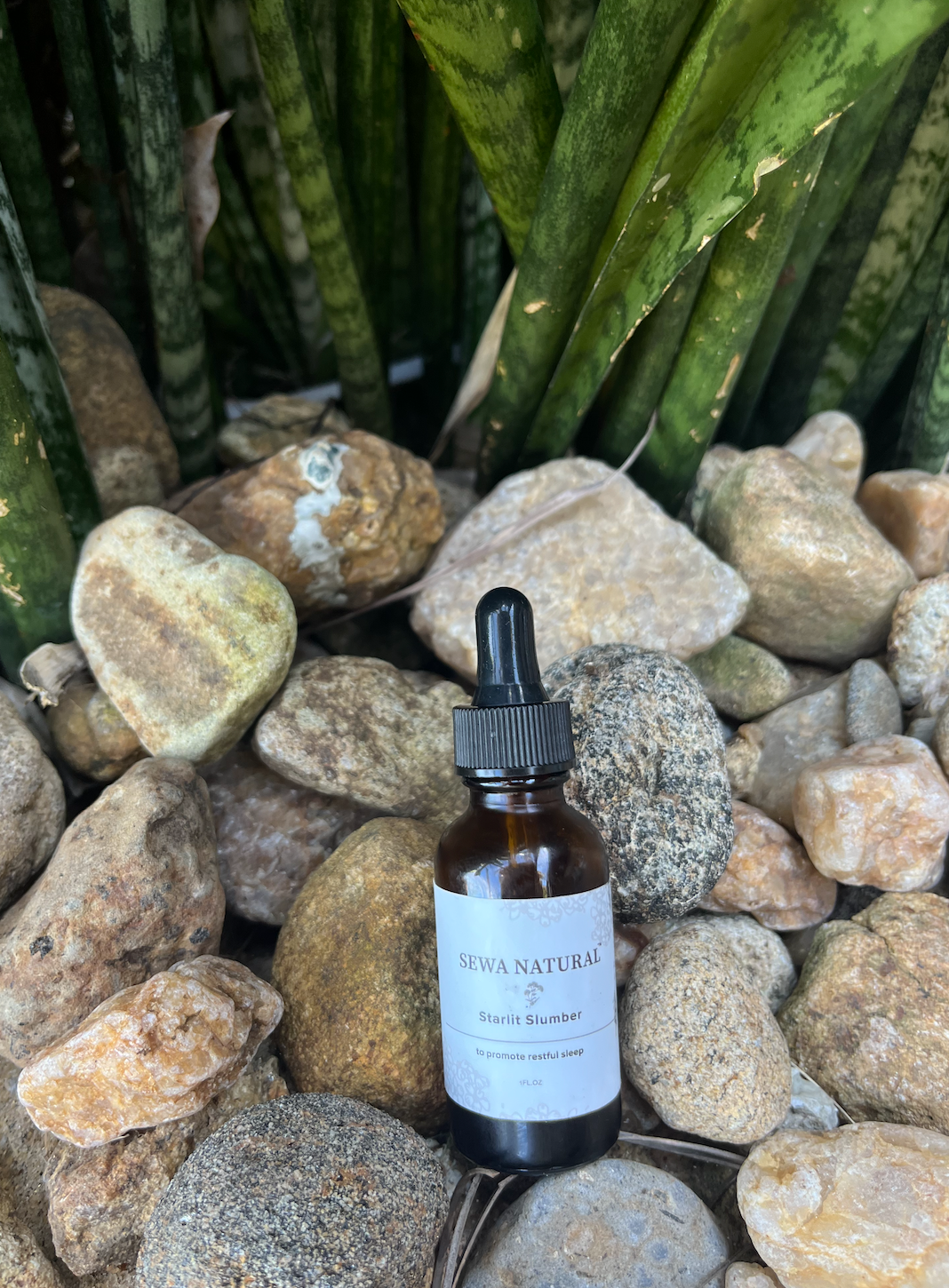Starlit slumber Tincture